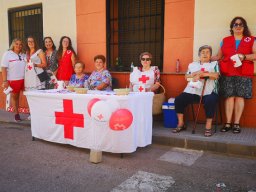 IMG_20220815_105619